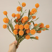 �羳���N�¿����6�^�S���� �Ҿ��b廨�[���zӰ������ռٻ�