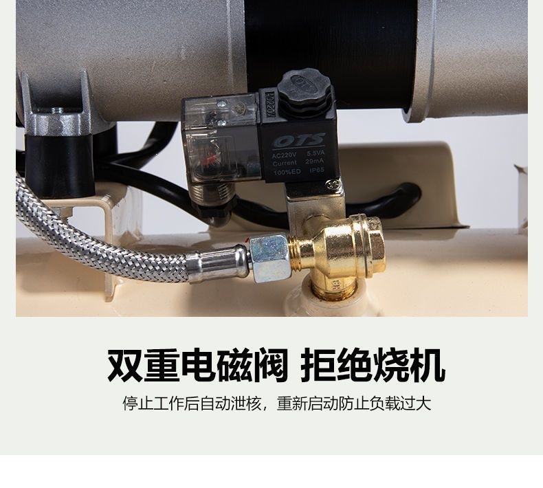Air Pump Air Compressor Oil-Free Silent Auto Repair Air Compressor 220V Small Woodworking Spray Paint Inflator Pump