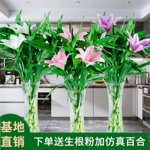 ٺ 滨ˮ฻FӷٺϻˮBֲȩܿ͏d