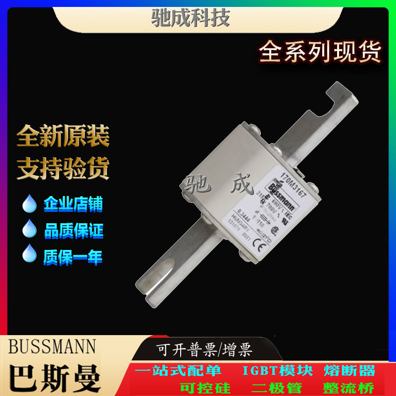 巴斯曼170M3167 170M3168 170M3169 大量现货量大价优 高速熔断器