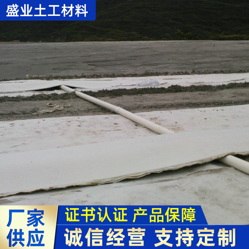 盛业土工席垫rcp复合排渗垫边坡绿化垃圾填埋场土工网垫厂家供应