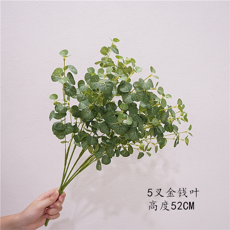 DSC07618_副本_副本