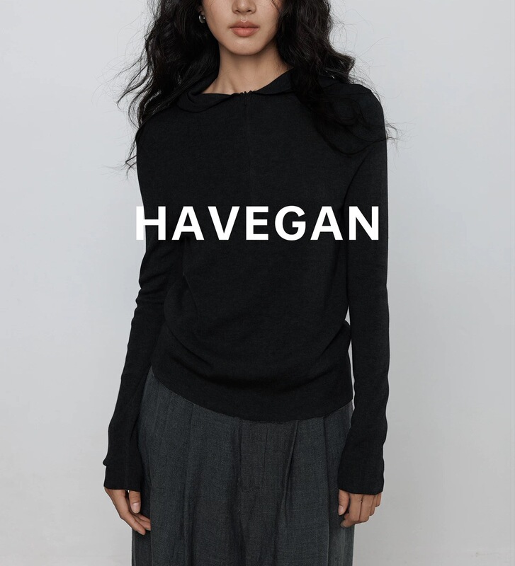 与间HAVEGAN/秋季连帽羊毛长袖针织衫女打底纯色慵懒弹力休闲上衣|undefined