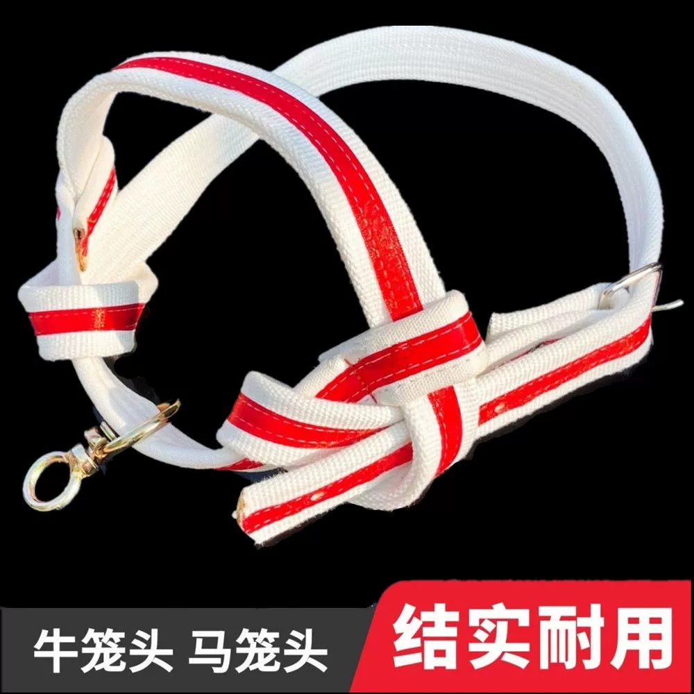 Красный пожарный ремень с коровьей клеткой