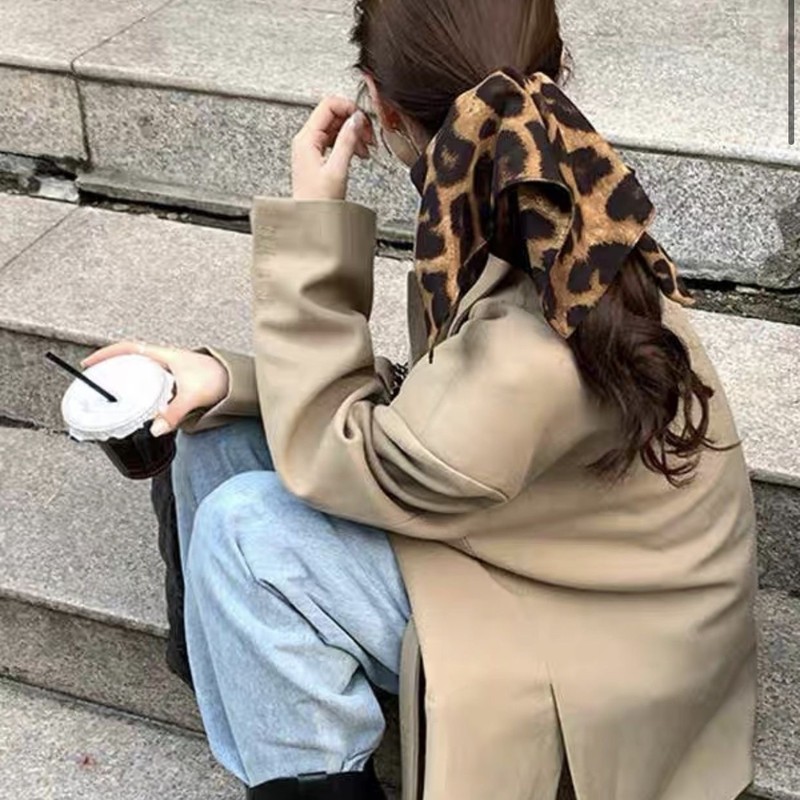 豹纹风秋冬高级感大肠发圈女高弹头发饰高级感头绳韩国|undefined
