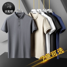 2026�ļ��¿�����������ʿ����POLO����ɫ������������������
