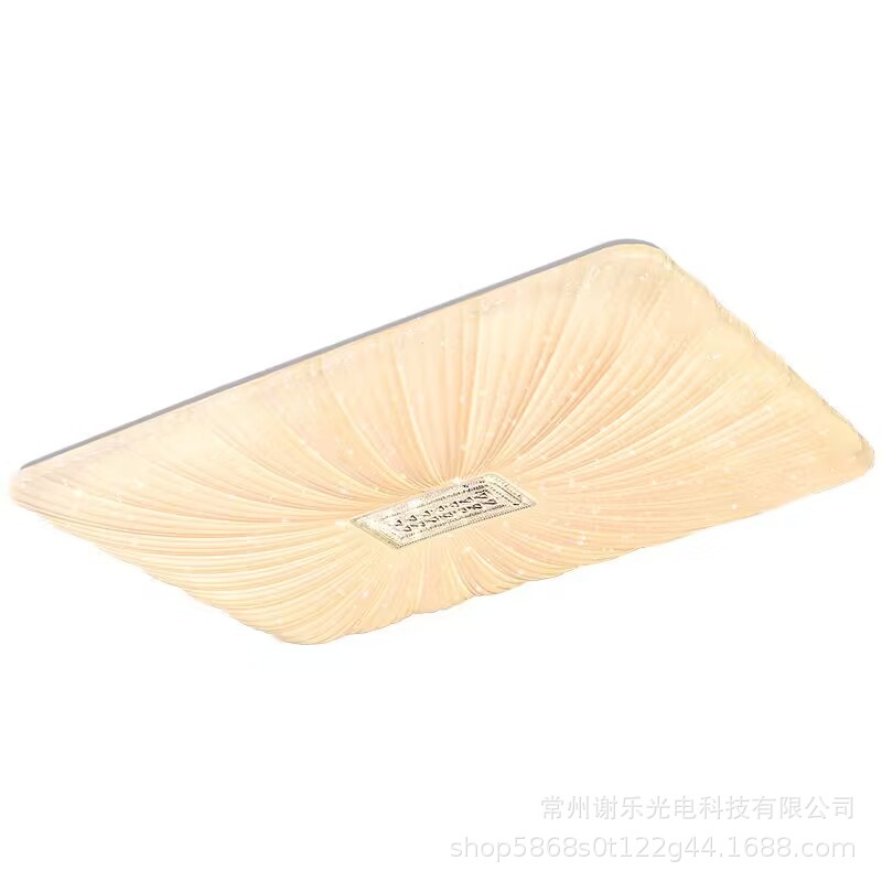 Luz de techo LED, luz para sala de estar, luz de pasillo sencilla y moderna, luz creativa para dormitorio, luz para comedor, luz combinada para toda la casa, súper brillante