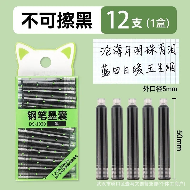 DS1020 [non-erasable black] 12 ink bags