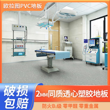 PVC���z�ذ�2mmͬ�|͸�ČWУ�tԺ܇�g��ĥ���z�ذ���������ˮ