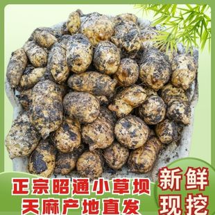 �����ͨ����С�݉�����ԭ�a�جF�ڷ�Ұ���Nֲ���������鶬��