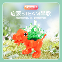 學優馬水晶種植實驗套裝手工課製作養晶體生長結晶小學生科教玩具