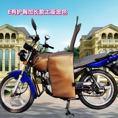 Motorcycle front windshield | Winter Warmth, Fleece-Lined and Thickeneding - e-has-a-chest-protector-and-a-long-local-gold-windshield-quilt