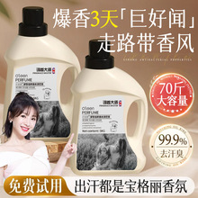 调香洗衣液法国香氛香味持久留香洁净去污皂液家用实惠装一件代发