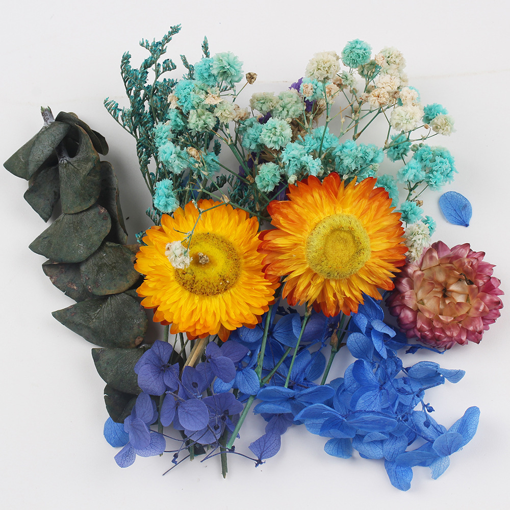 Flores secas preservadas hechas a mano, marco de fotos DIY, decoración mixta, materiales de aromaterapia, flores naturales, ramo de regalo para boda, San Valentín