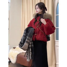 ���bŮ2024�����¿��nϵţ�ǿ��Bñë�I������������׸�������ȹ