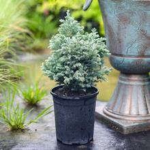 Ƥ����{�����{�����{ɫ�������S�𺣰�����녰����Ի��@���Rֲ��