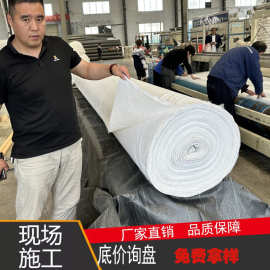 复合土工膜防水防渗土工布两布一膜垃圾填埋河道蓄水池鱼塘防渗膜