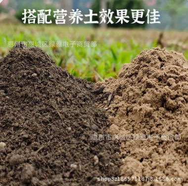 2.5kg sandy and nutrient soil 1:1