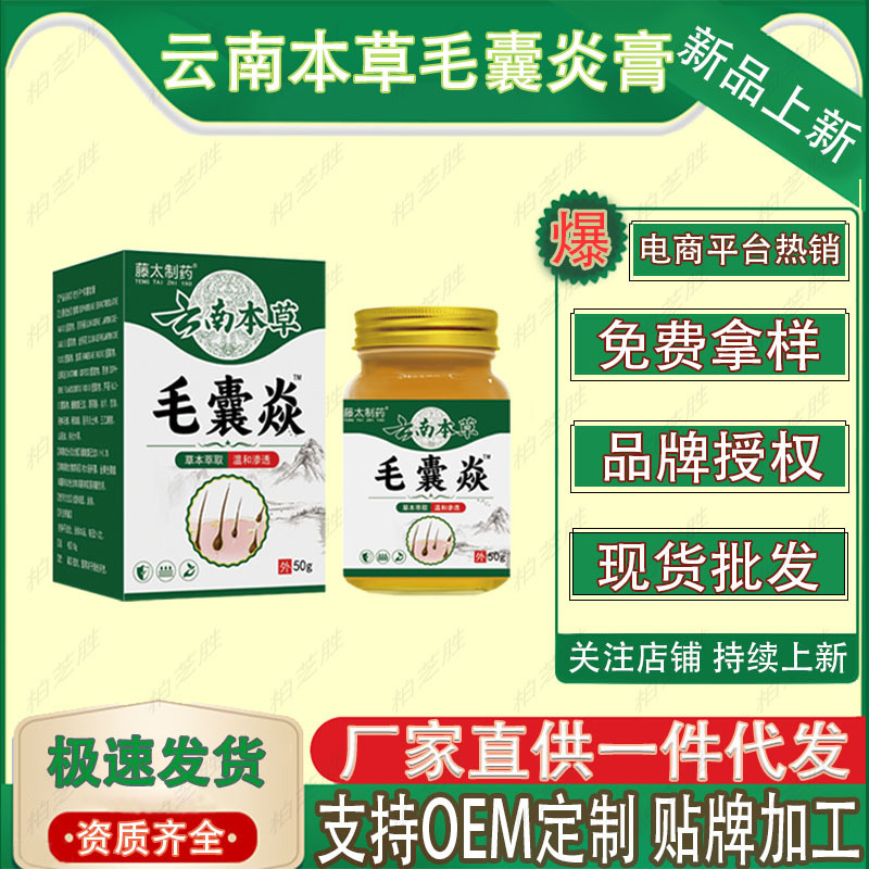 云南本草毛囊炎膏    50g/支    厂家直供现货速发批发一件代发|undefined