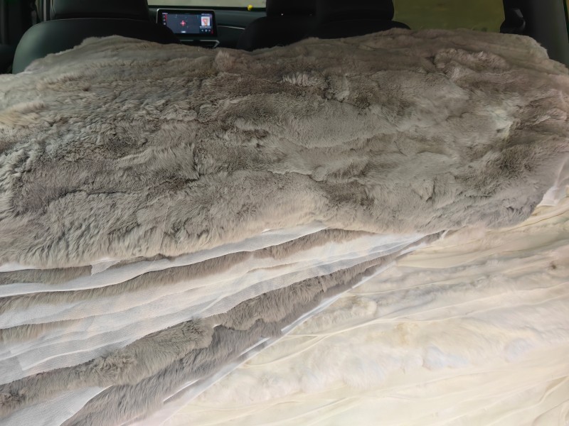 微信图片_20250319100420