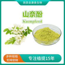 ɽ�η�98%������ȡ��������ɽ����Kaempferol 10g/��Ⱦ��ľ��