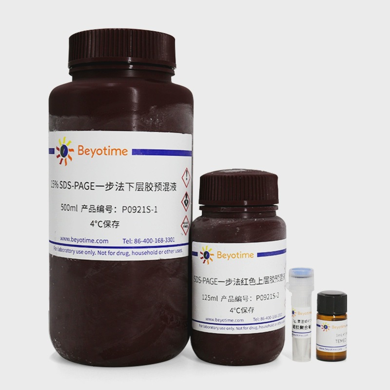 P0921S 15% SDS-PAGE凝胶一步法超快速配制试剂盒(红色上层胶)