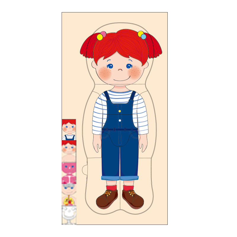 Ilustración científica de los niños estructura del cuerpo humano rompecabezas órgano anatomía hueso cognición educación temprana cuerpo vísceras rompecabezas juguete
