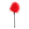 Little feathers red