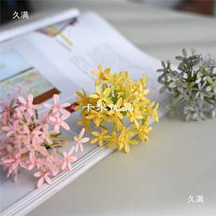 ���ٻ��[����ʾ�С���y���b�Ʒ����������M���ǹ���ä�иɻ�