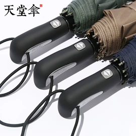 晴雨伞;广告伞;遮阳/太阳伞