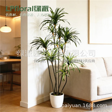 �羳���Q؛Դ�W�t������Ѫ��G�~���Կ͏d�������ֲ���b[��