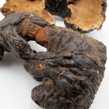 `֥a`֥Ƭ`ֱ֥Ұ`֥ľ`֥ݰlLɽ]