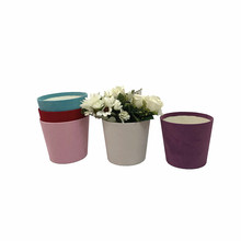 ���s�������нq���AͰ�廨Ͱ�r�����b�Y�� ���������ЬF؛���l