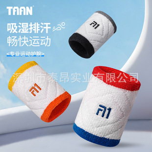 ̩��TAAN�\���o����ë��W����o�ױ��o�P����@��ȫ������HJ1311