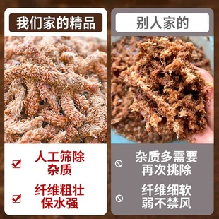 ����ˮ̦�����mëë�xˮ̦���Ǹ�̦�\�m����ֲ�Ϟ������߉|��