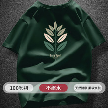 ���޲��s����T��2025�ļ�����A�I�w���ɰ���ӡ����������