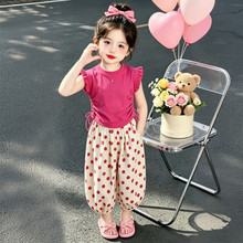 Ůͯ��⌒�ɈA�c�ļ��������ѝ���bŮ����2026�¿�С�w��ɼ���