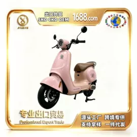电动自行车