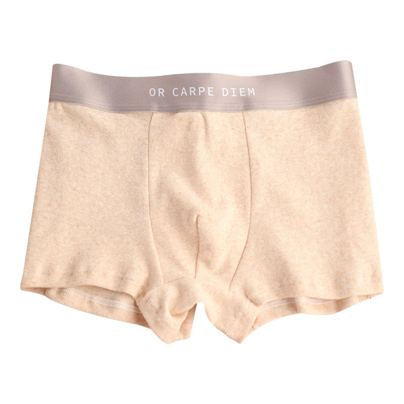 Ropa interior de hombre, pantalones bóxers antibacterianos de algodón puro, pantalones cortos bóxer para jóvenes transpirables deportivos para niños de verano, bragas para la cabeza