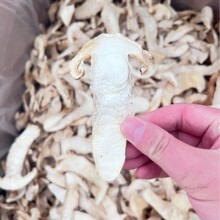 云南香格里拉松茸干片规格齐全去皮足干货食用菌菇淘宝货源