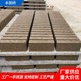 惠州工厂多规格砌墙水泥砖混凝土实心砖两孔空心砖角砖标砖门头砖