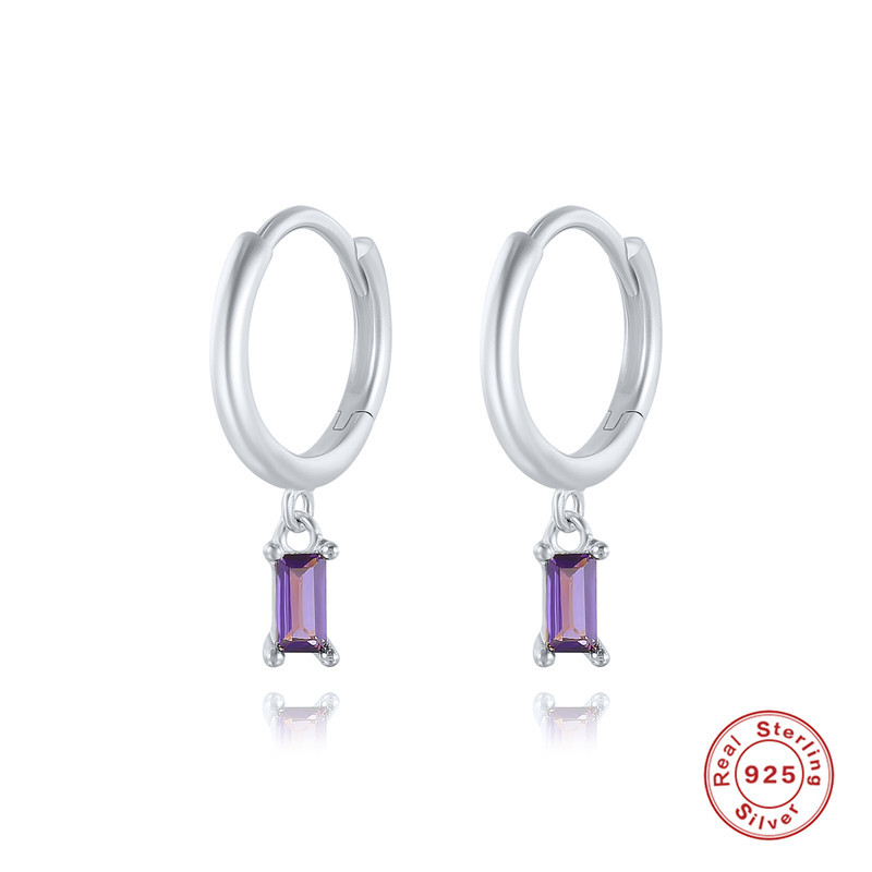 Women'S Gender 1 Pair Silver Zircon Square Dangling Earrings