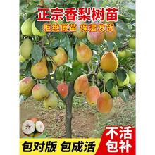 ��������������ɳ��޽�ͥԺ�����ϱ��Nֲ�ش��ͺ����殔��Y��