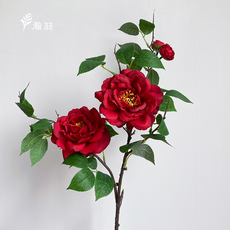 빅 레드