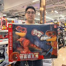 雄先电动遥控恐龙玩具霸王龙仿真音效带喷雾行走灯光下蛋恐龙礼物