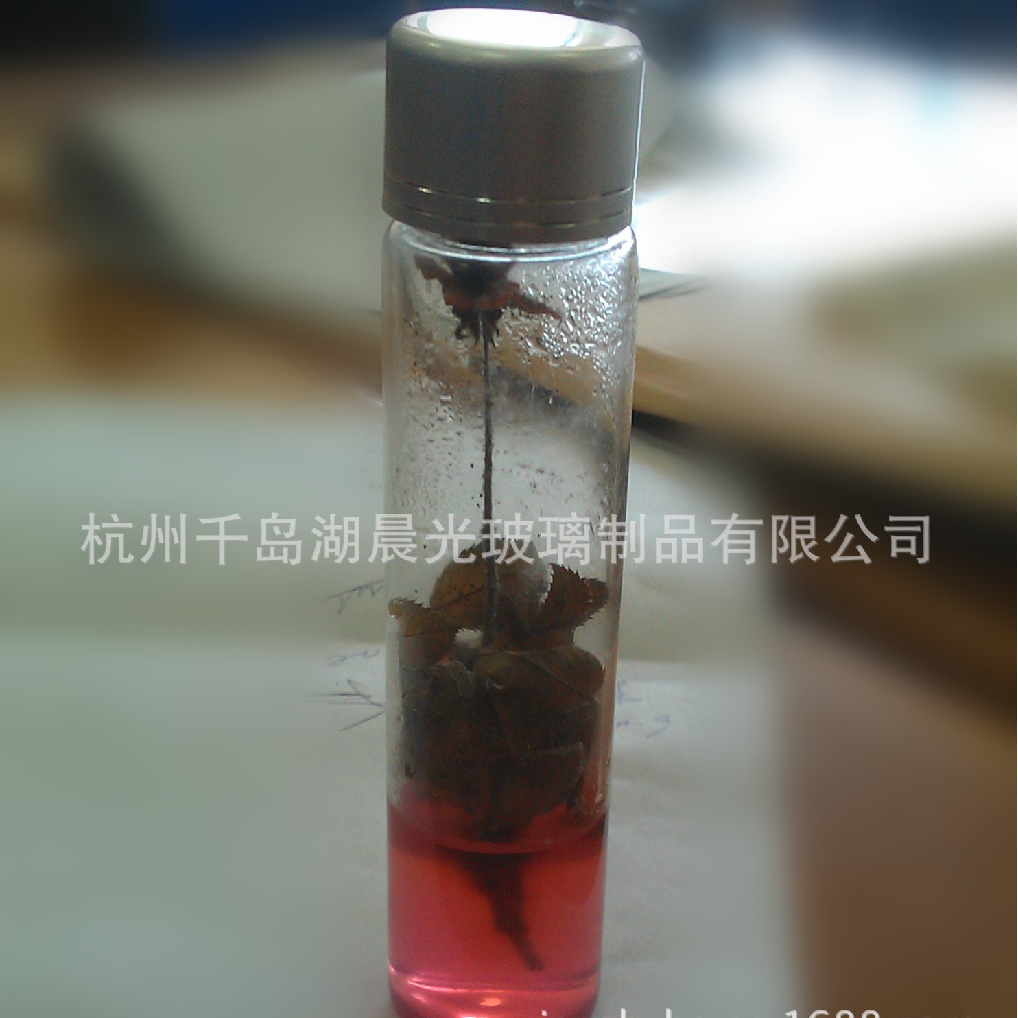 【厂家供应】玻璃瓶手指花卉试管可种植物创意种植瓶