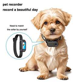 宠物相机高清拇指运动相机宠物记录仪磁吸充电仓防抖水VLOG摄像机