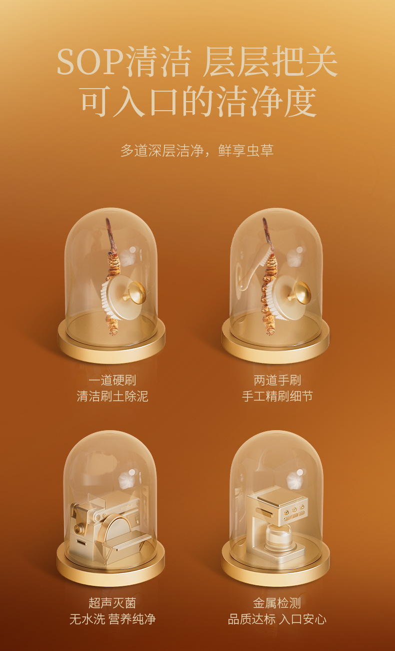 Premium Cordyceps Sinensis Gift Box 50 Stems 16.7g Dong Chong Xia Cao for Traditional Herbal Soups specifications