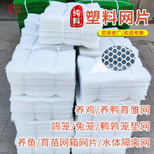 兔笼养殖塑料网塑料围栏网塑料网厂家养鸡围栏网鸽笼全新料塑料网