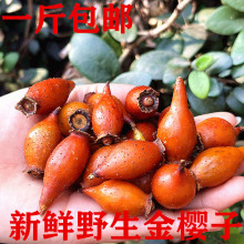 ���x��ɽ��ժҰ��������ݾ����rɽʯ����ș���ǹ������������؛